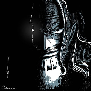 Silver Rayleigh Anime Portrait in High Contrast Black and White Illustration HD phone wallpaper