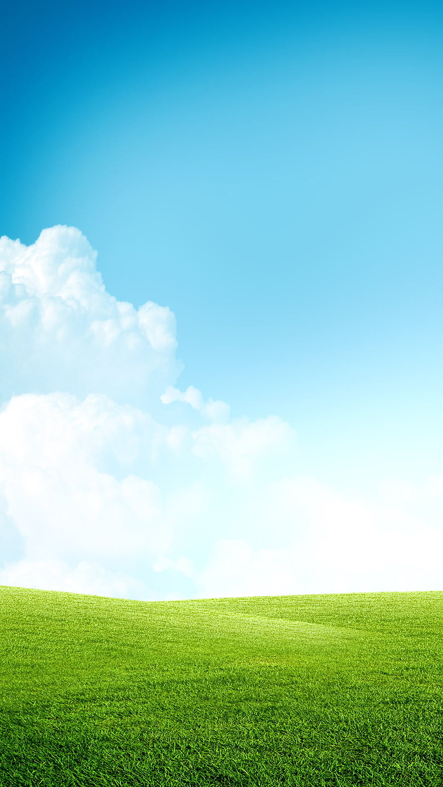 Serene Green Meadow Under a Bright Blue Sky with Fluffy White Clouds HD phone wallpaper
