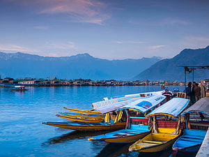 Colorful Shikara Boats Moored on Dal Lake in Kashmir with Snow-Capped Mountains in the Background HD wallpaper