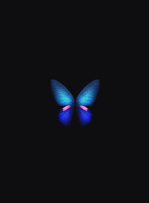 Minimalist Blue Butterfly with Pink Accents on Black Background HD phone wallpaper