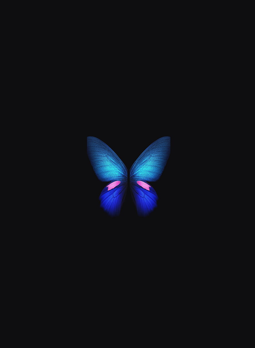 Minimalist Blue Butterfly with Pink Accents on Black Background HD phone wallpaper