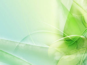 Soft Green Abstract Flowing Lines and Curves Minimalist Digital Art HD wallpaper
