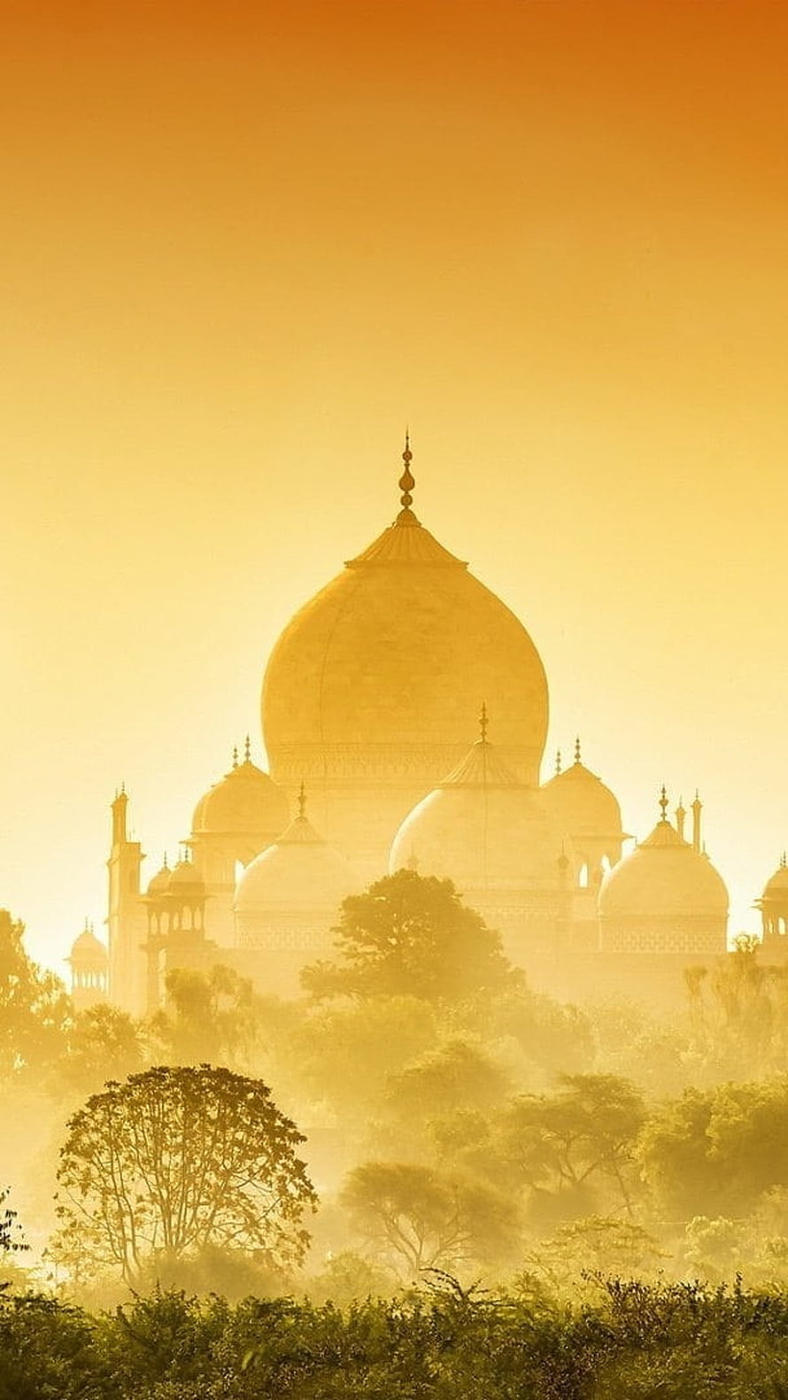 Taj Mahal Silhouette in Golden Morning Mist with Lush Green Foliage HD phone wallpaper
