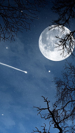 Full Moon and Shooting Star Over Silhouetted Winter Tree Branches HD phone wallpaper