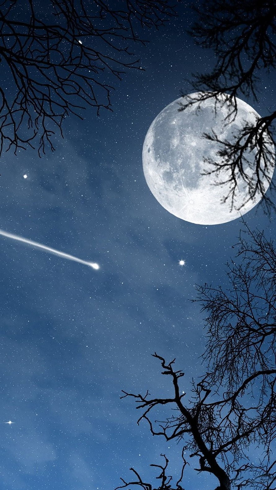 Full Moon and Shooting Star Over Silhouetted Winter Tree Branches HD phone wallpaper