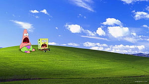 SpongeBob and Patrick on a Green Hill Under a Blue Sky HD wallpaper