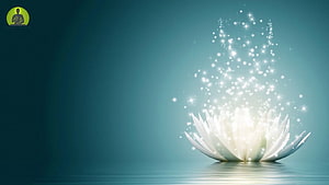 Glowing White Lotus Flower with Rising Sparkles on Calm Teal Water Surface HD wallpaper