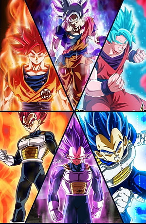 Dragon Ball Super Goku and Vegeta Super Saiyan Transformations Collage HD phone wallpaper
