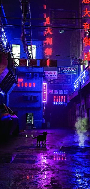 Cyberpunk Alley with Neon Signs and Silhouetted Cat in Rain HD phone wallpaper