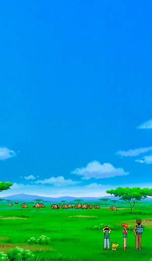 Pokemon Adventures: Ash, Misty, Brock, and Pikachu Watching a Herd of Tauros in a Sunny Grassland HD phone wallpaper