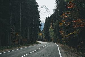 Winding Mountain Road Through Autumn Forest With Snow-Capped Peak HD wallpaper