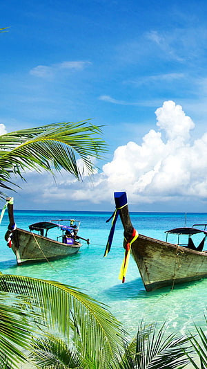 Traditional Thai Longtail Boats Moored in Turquoise Waters with Palm Fronds HD phone wallpaper