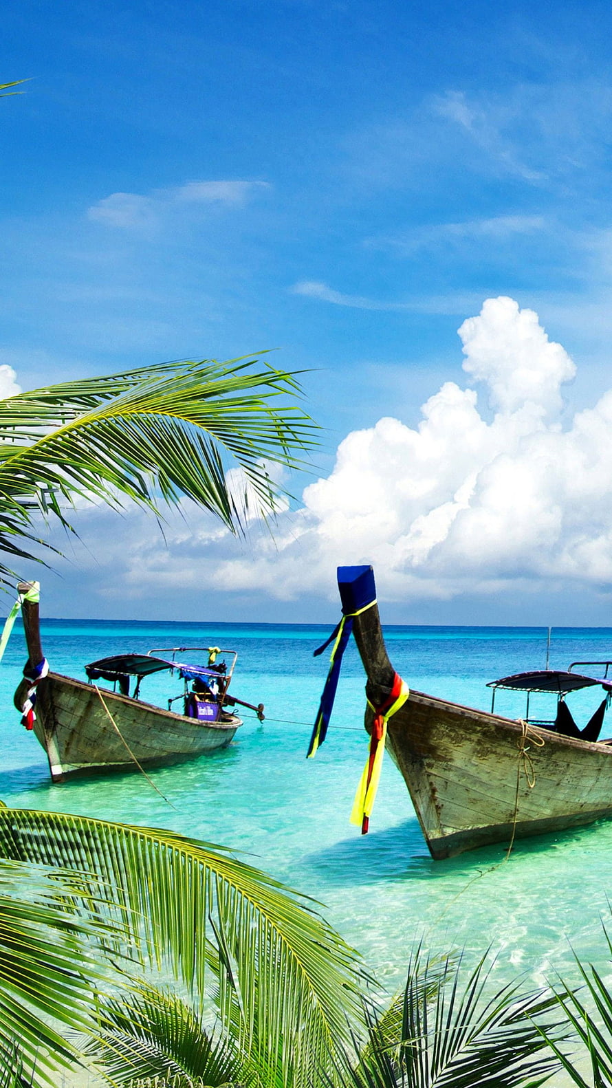 Traditional Thai Longtail Boats Moored in Turquoise Waters with Palm Fronds HD phone wallpaper