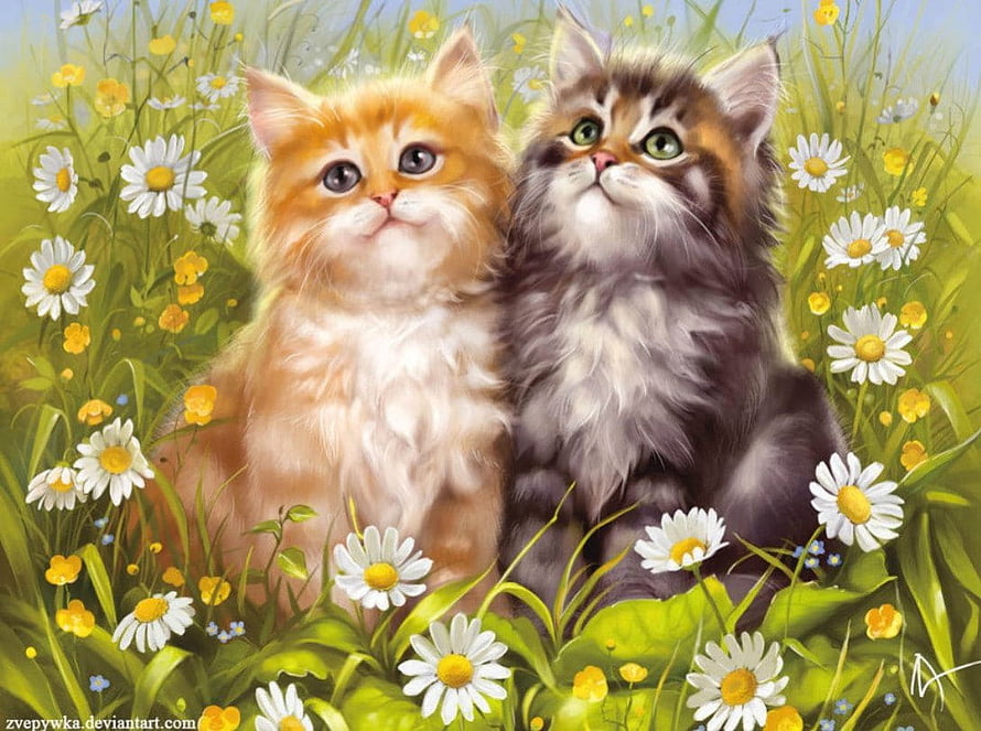 Two Fluffy Kittens Sitting Together in a Meadow of White Daisies and Yellow Flowers HD wallpaper