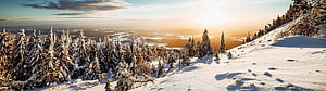 Snow-Covered Evergreen Forest on a Mountain Slope at Golden Hour HD wallpaper