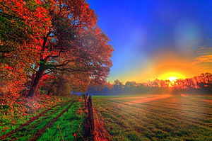 Vibrant Autumn Sunrise Over a Misty Green Field with Red Foliage and Wooden Fence HD wallpaper