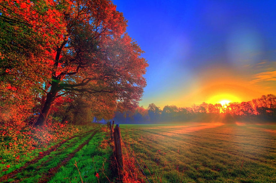 Vibrant Autumn Sunrise Over a Misty Green Field with Red Foliage and Wooden Fence HD wallpaper
