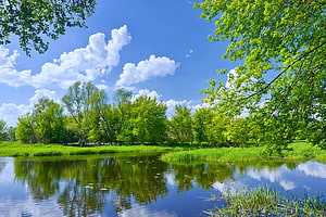 Serene Spring Lake Landscape With Lush Green Trees And Calm Water Reflections HD wallpaper