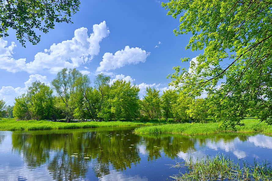 Serene Spring Lake Landscape With Lush Green Trees And Calm Water Reflections HD wallpaper