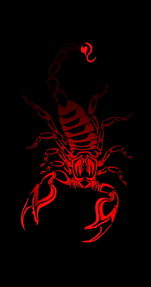 Red Scorpion Vector Illustration on Black Background HD phone wallpaper