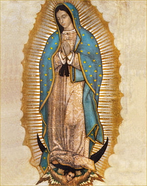 Our Lady of Guadalupe in Praying Pose with Starred Mantle and Radiant Halo HD phone wallpaper