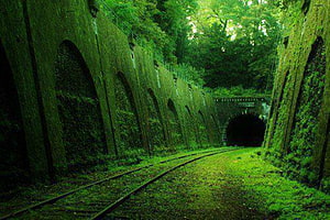 Moss-Covered Abandoned Railway Tunnel with Overgrown Tracks and Arched Walls HD wallpaper