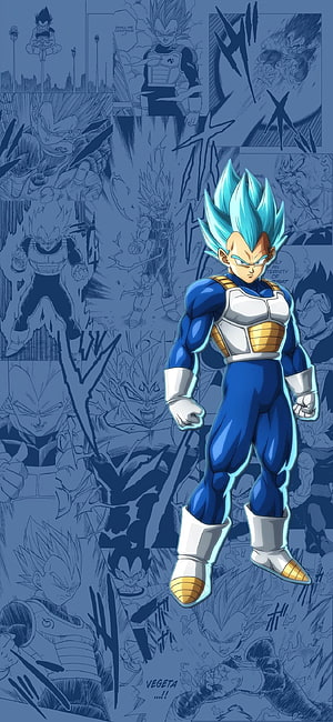 Vegeta Super Saiyan Blue in Dragon Ball Z Battle Armor with Manga Panel Background HD phone wallpaper