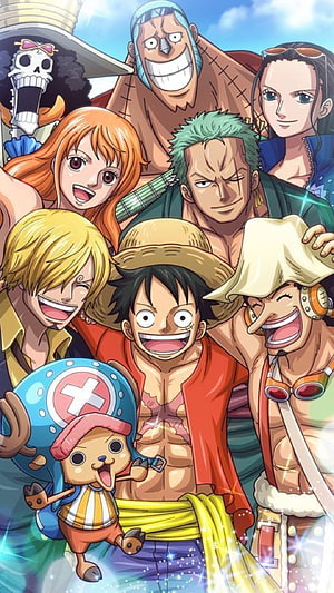 One Piece Straw Hat Pirates Group Portrait with Luffy, Zoro, Nami, Usopp, Chopper, Sanji, Robin, and Franky HD phone wallpaper