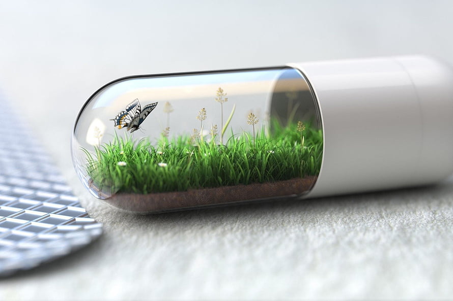 Macro shot of a transparent capsule containing a miniature grassy meadow with a butterfly, resting on a desk beside a keyboard HD wallpaper
