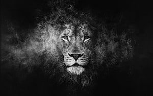 Majestic Black Lion Portrait Emerging From Dark Smoke and Mist HD wallpaper