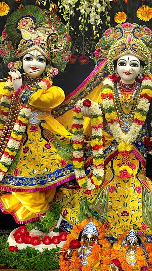 Radha Krishna Temple Deities Adorned in Vibrant Yellow Silk and Fresh Flower Garlands HD phone wallpaper