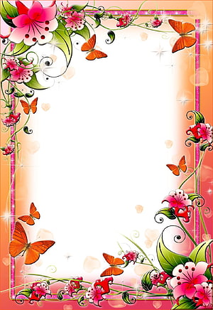 Elegant Floral Border Design With Pink Lilies And Orange Butterflies HD phone wallpaper