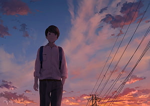 Anime Boy in School Uniform Standing Under a Vibrant Sunset Sky with Power Lines HD wallpaper