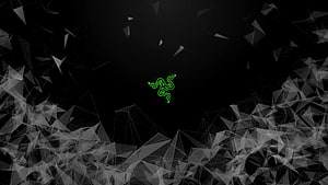 Razer Gaming Logo on Black Geometric Low Poly Background HD wallpaper