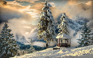 Snowy Mountain Gazebo Surrounded by Fog and Evergreen Trees at Sunrise HD wallpaper