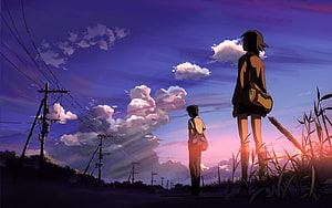 Anime Boy And Girl Silhouettes Watching Sunset Over Countryside With Power Lines HD wallpaper