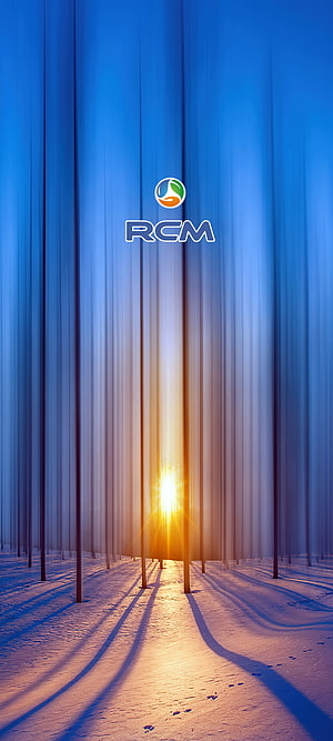 RCM Winter Forest Sunrise with Snowy Ground and Long Tree Shadows HD phone wallpaper