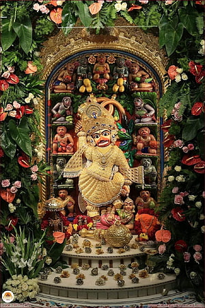 Kasturbhanjan Dev Murti Adorned With Flowers And Monkeys In Temple Setting HD phone wallpaper