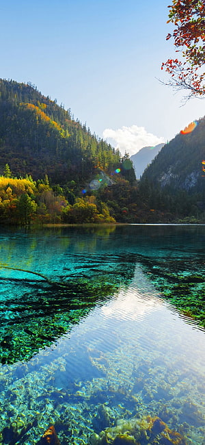Crystal Clear Alpine Lake with Turquoise Water and Autumn Forest Reflections HD phone wallpaper