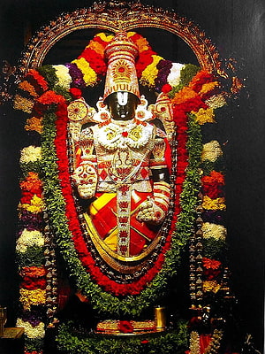 Lord Balaji Venkateswara Temple Idol Adorned With Vibrant Flower Garlands And Gold Jewelry HD phone wallpaper