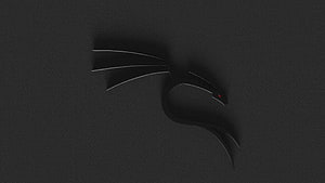 Kali Linux Black Dragon Logo on Dark Textured Background HD wallpaper