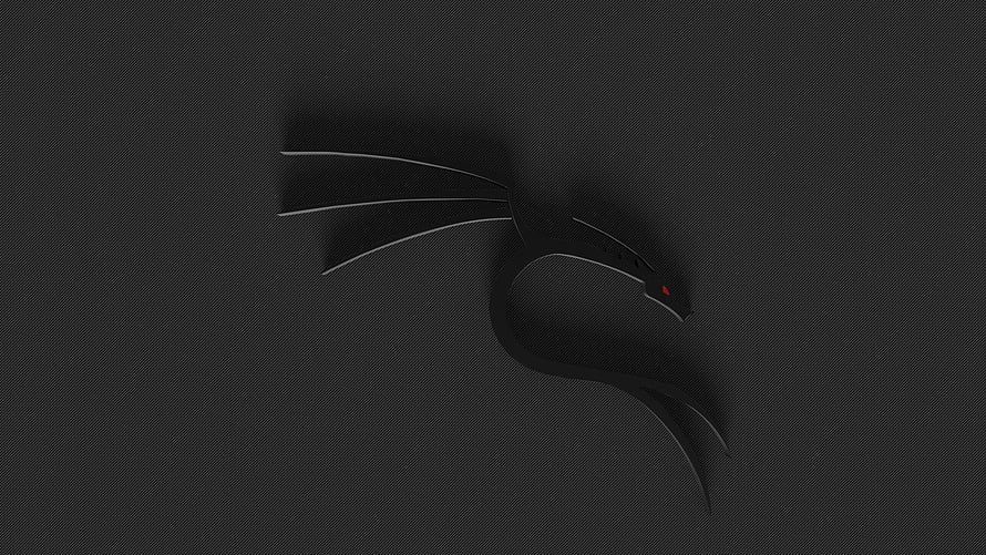 Kali Linux Black Dragon Logo on Dark Textured Background HD wallpaper
