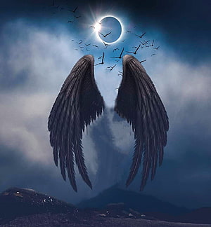 Dark Angel Wings Silhouette Against Solar Eclipse and Flock of Birds in Stormy Sky HD phone wallpaper