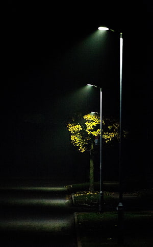 Moody Night Street Scene With Illuminated Autumn Tree And Foggy Atmosphere HD phone wallpaper