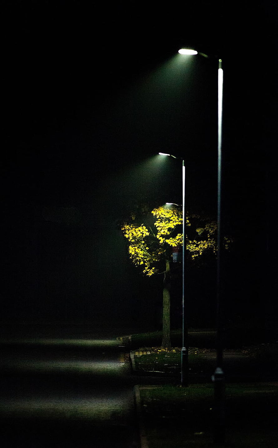 Moody Night Street Scene With Illuminated Autumn Tree And Foggy Atmosphere HD phone wallpaper