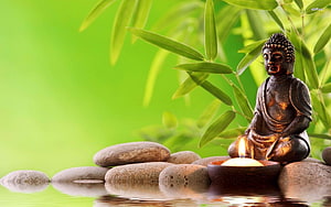 Serene Buddha Statue with Candle and Bamboo Leaves in Zen Garden Setting HD wallpaper