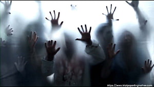 Horror Scene of Zombie Hands Pressing Against Frosted Glass in Dark Fog HD wallpaper