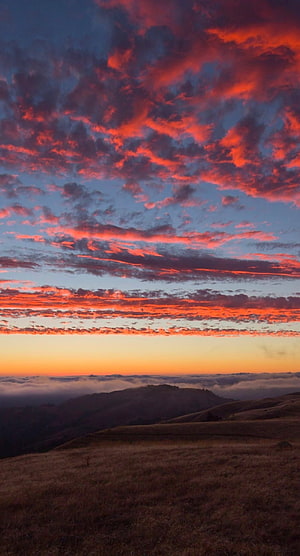 Vibrant sunset sky with fiery red clouds over rolling hills and a sea of fog HD phone wallpaper
