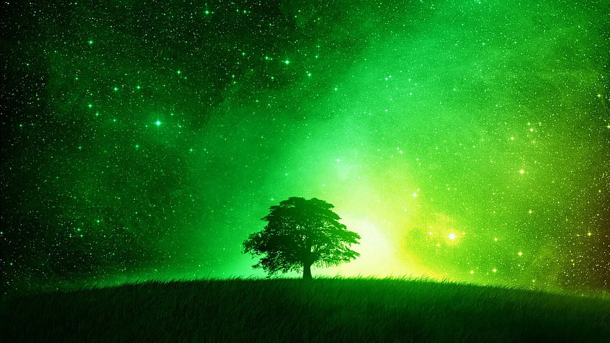 Lone Tree Silhouette Under Vibrant Green Aurora and Starry Night Sky HD wallpaper