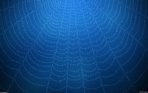 Intricate Spider Web Covered in Dew Drops Against a Deep Blue Sky HD wallpaper